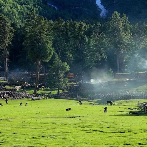 listing-details-carousel